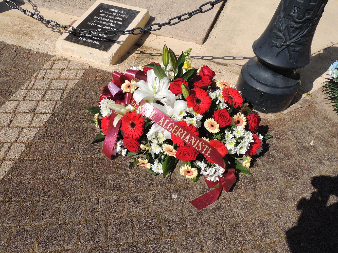 26 03 2019 TOULON HOMMAGE AUX VICTIMES DU MASSACRE RUE D ISLY A ALGER DU 26 03 1962 (4).JPG -           